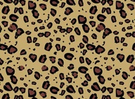 Leopard Pattern