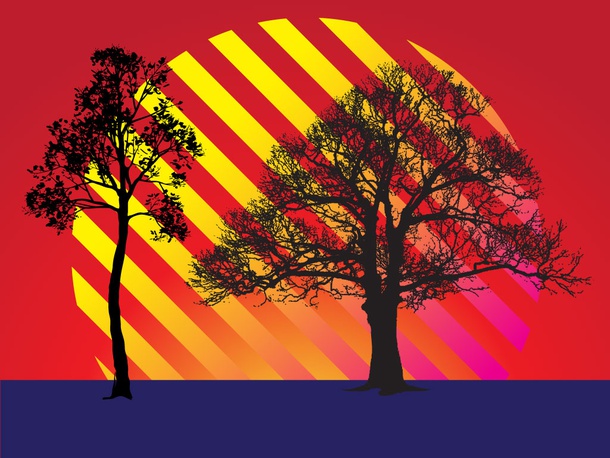 Trees Stripes Sunset