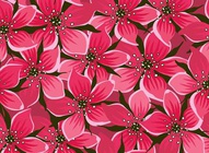 Pink Vector Flowers