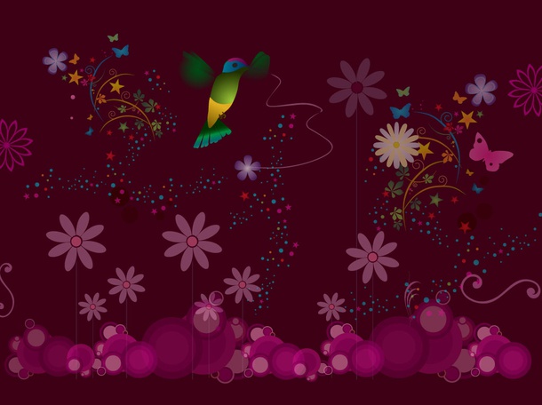 Hummingbird Background