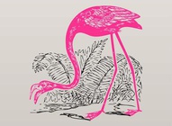 Pink Flamingo Vector