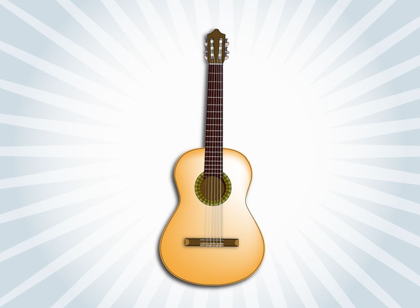 Acoustic Guitar