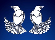 Pigeon Vectors