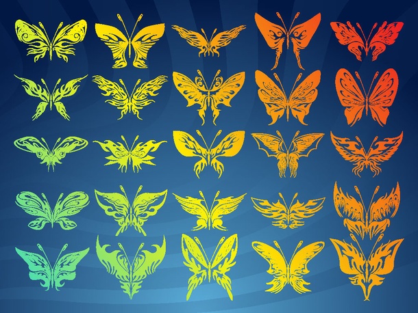 Colorful Butterfly Collection