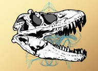 Skull Graphics