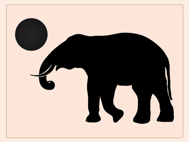 Playing Elephant