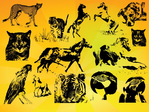 Animals Vectors Set