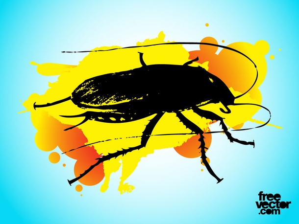 Cockroach Illustration