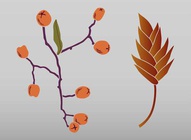 Fall Nature Vectors