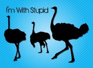 Ostrich Stupid