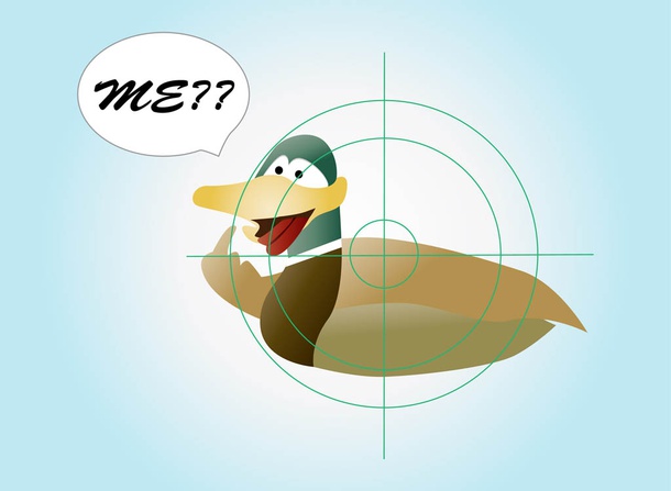 Duck Cartoon