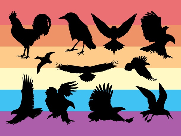 Various Bird Silhouettes