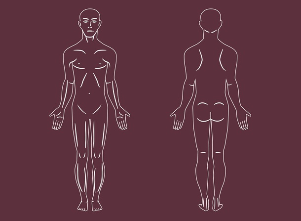 Human Body Vectors