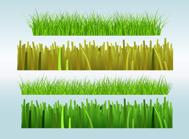 Grass Patterns