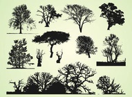 Trees Graphics Bundle