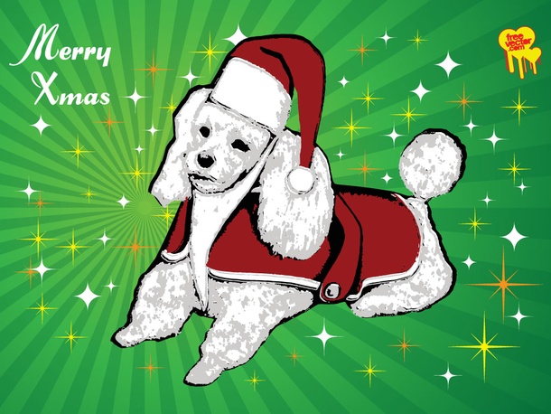 Christmas Poodle