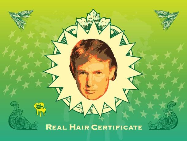 Donald Trump's Hair