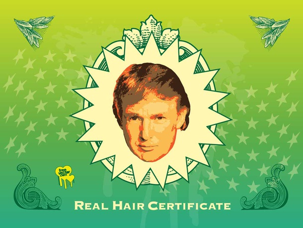 Donald Trump's Hair