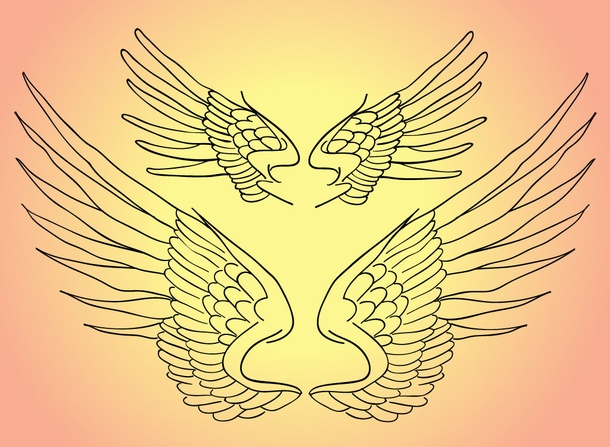 Wings Line Art