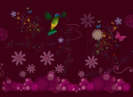 Hummingbird Background