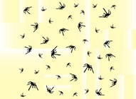 Spider Background Pattern