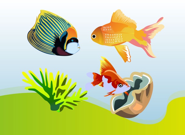 Angel Fish Graphics