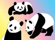 Panda Vector Pack