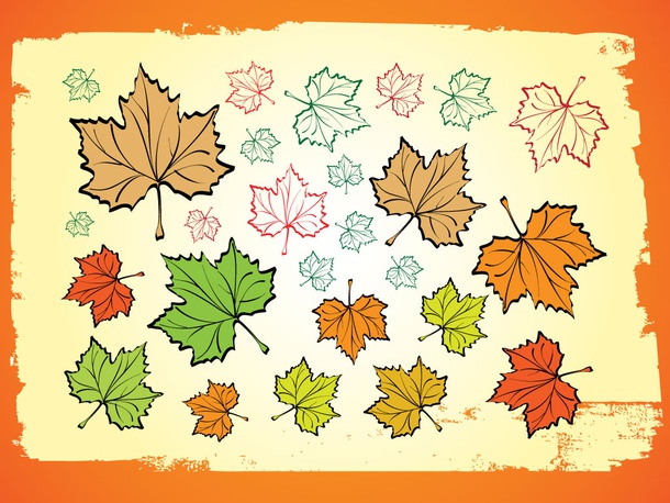 Autumn Leaves Vectors