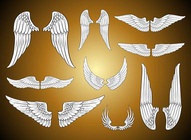 Wing Pairs