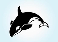 Jumping Orca