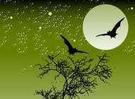 Bats At Night