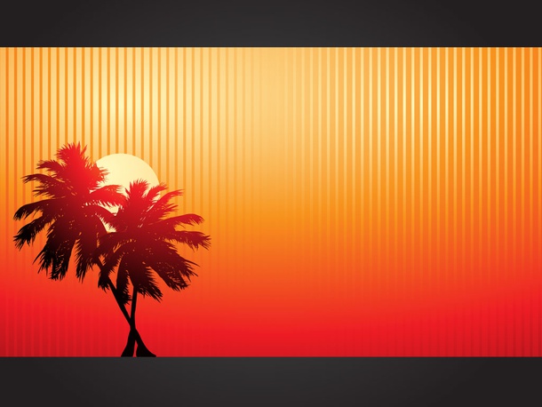 Palm Sunset