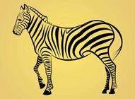 Zebra Image