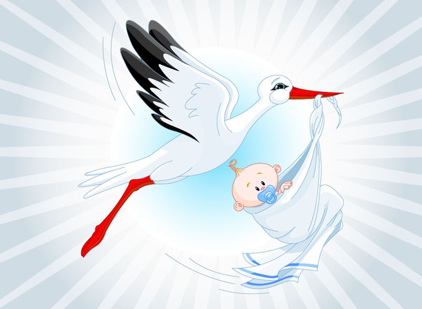 Stork With Baby