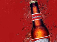 Budweiser Wallpaper