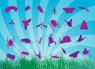 Insect Silhouettes