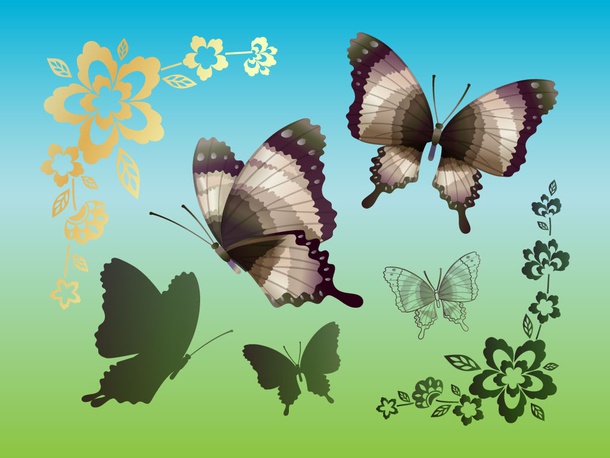 Flowers Butterflies