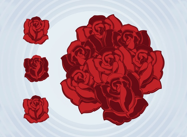 Rose Bouquet Vector