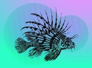 Tropical Fish Vector