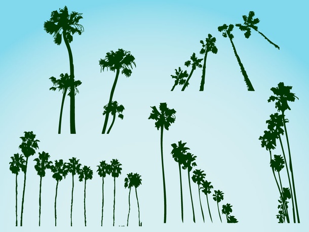 Palm Trees Vectors
