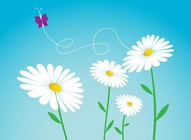 Daisy Flowers Vectors