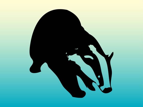 Badger Vector