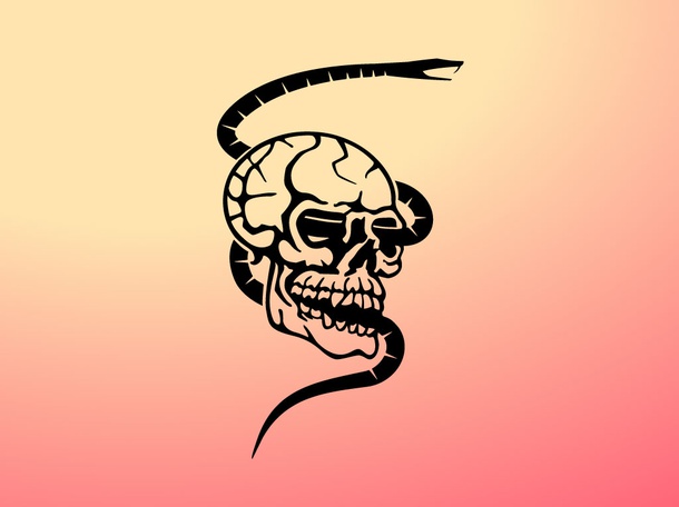 Vector Skull And Snake