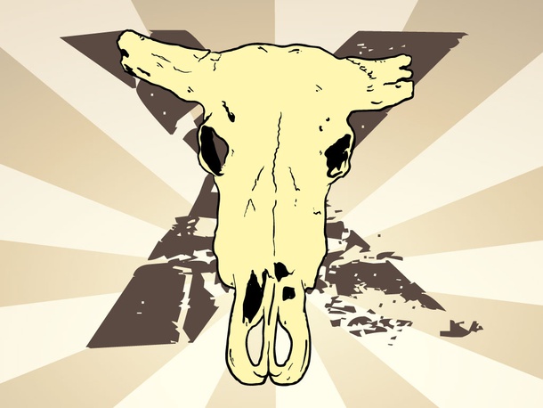 Cow Skull