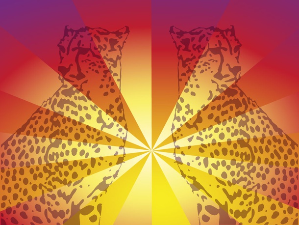 Cheetah Design