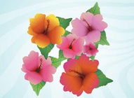 Hibiscus Vector