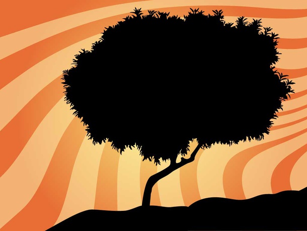 Hilltop Tree Silhouette