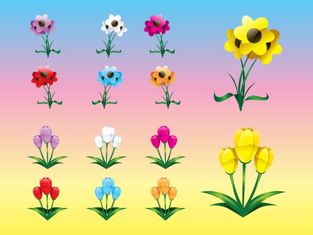 Colorful Flowers Graphics