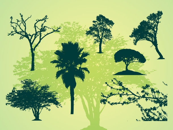 Tree Silhouettes Illustrations