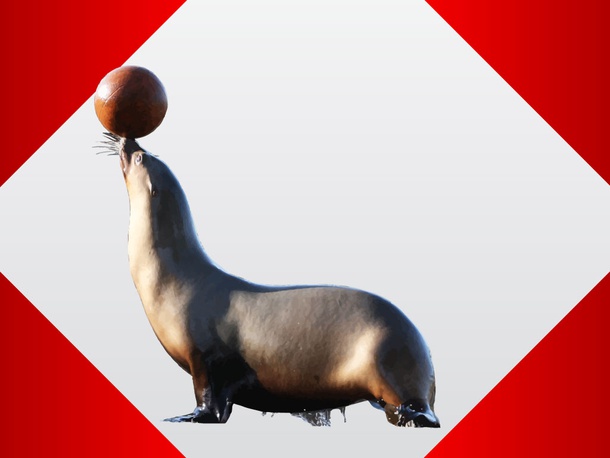 Sea Lion